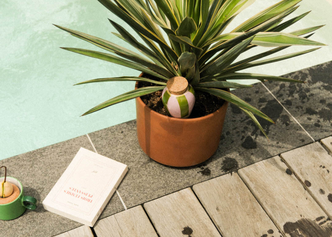 Arrosage de vos plantes en vacances : l'olla, la solution zéro stress