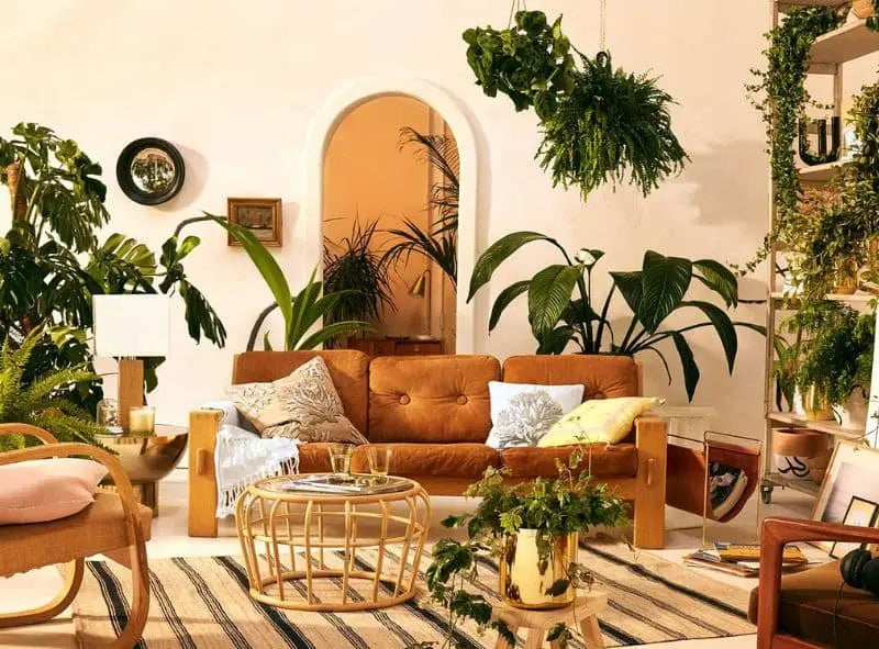 Comment choisir la meilleure plante pour votre espace ?