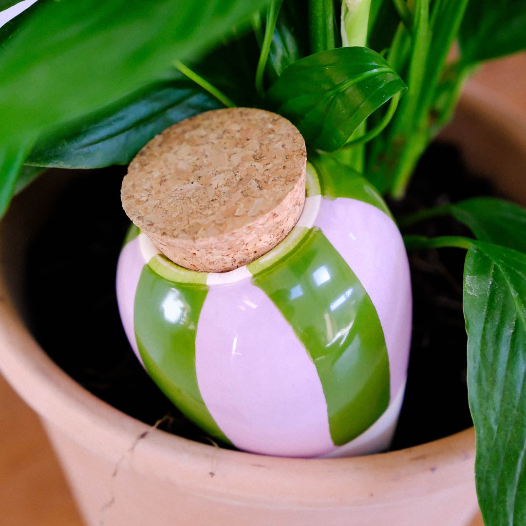 Olla - Green and lilac striped