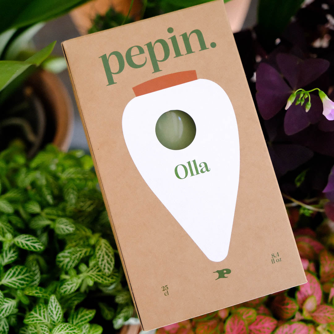 Olla - Green
