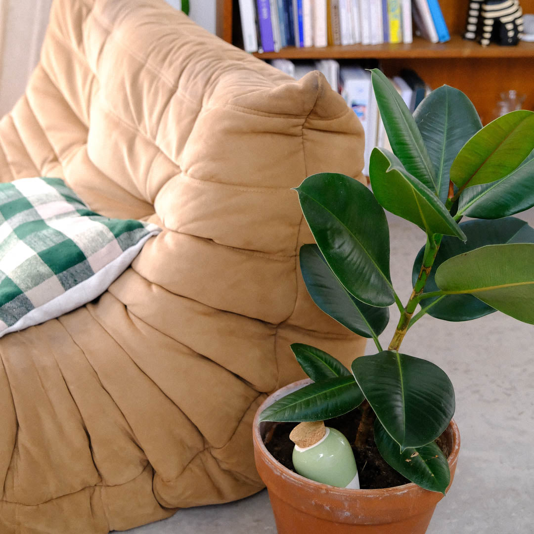 Olla - Green