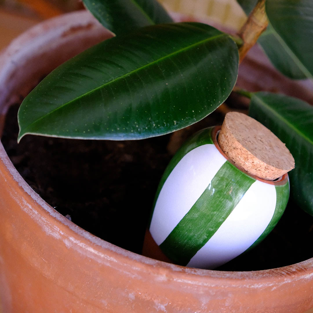 Olla – Grün-weiß gestreift