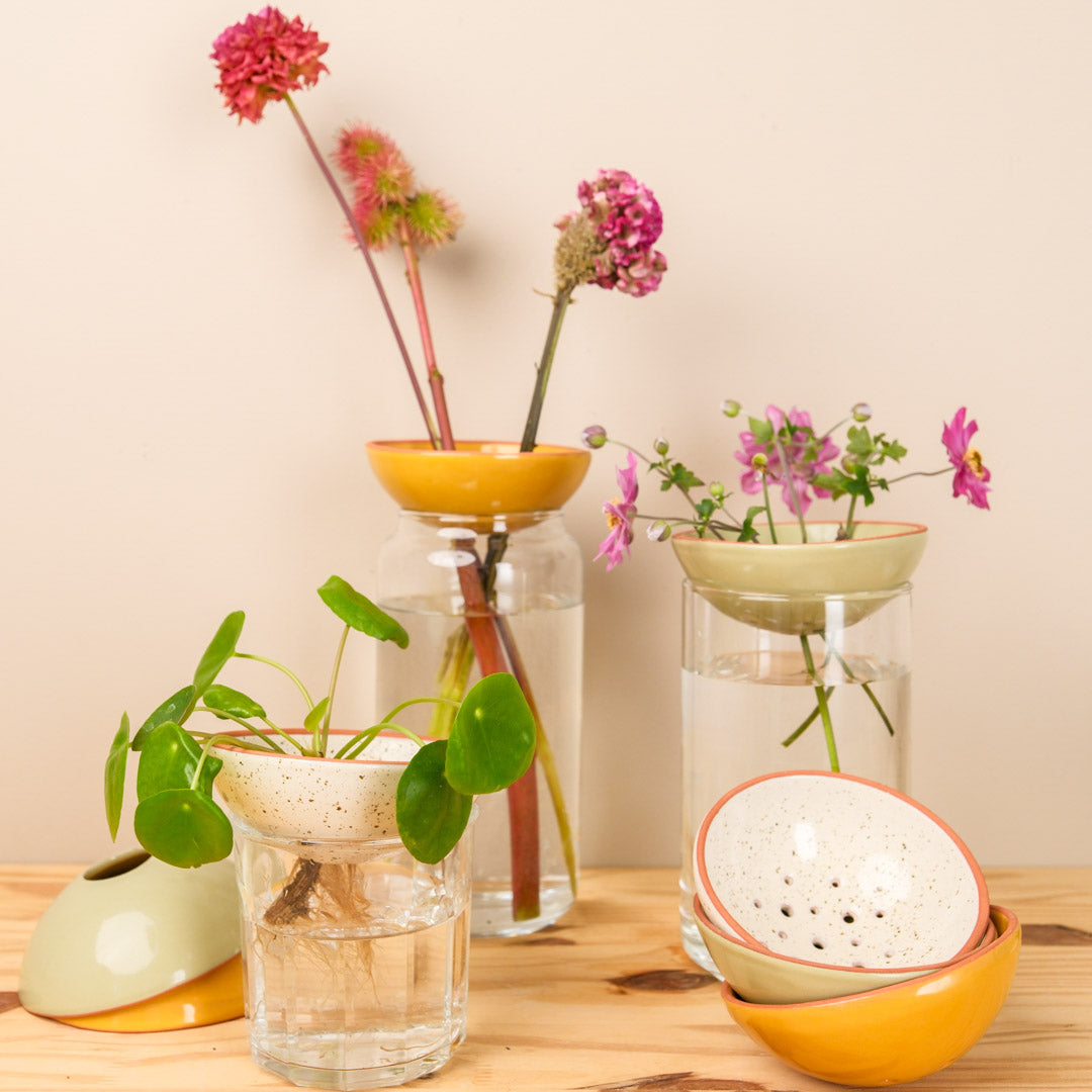 Bobèche Plants - Mustard Yellow