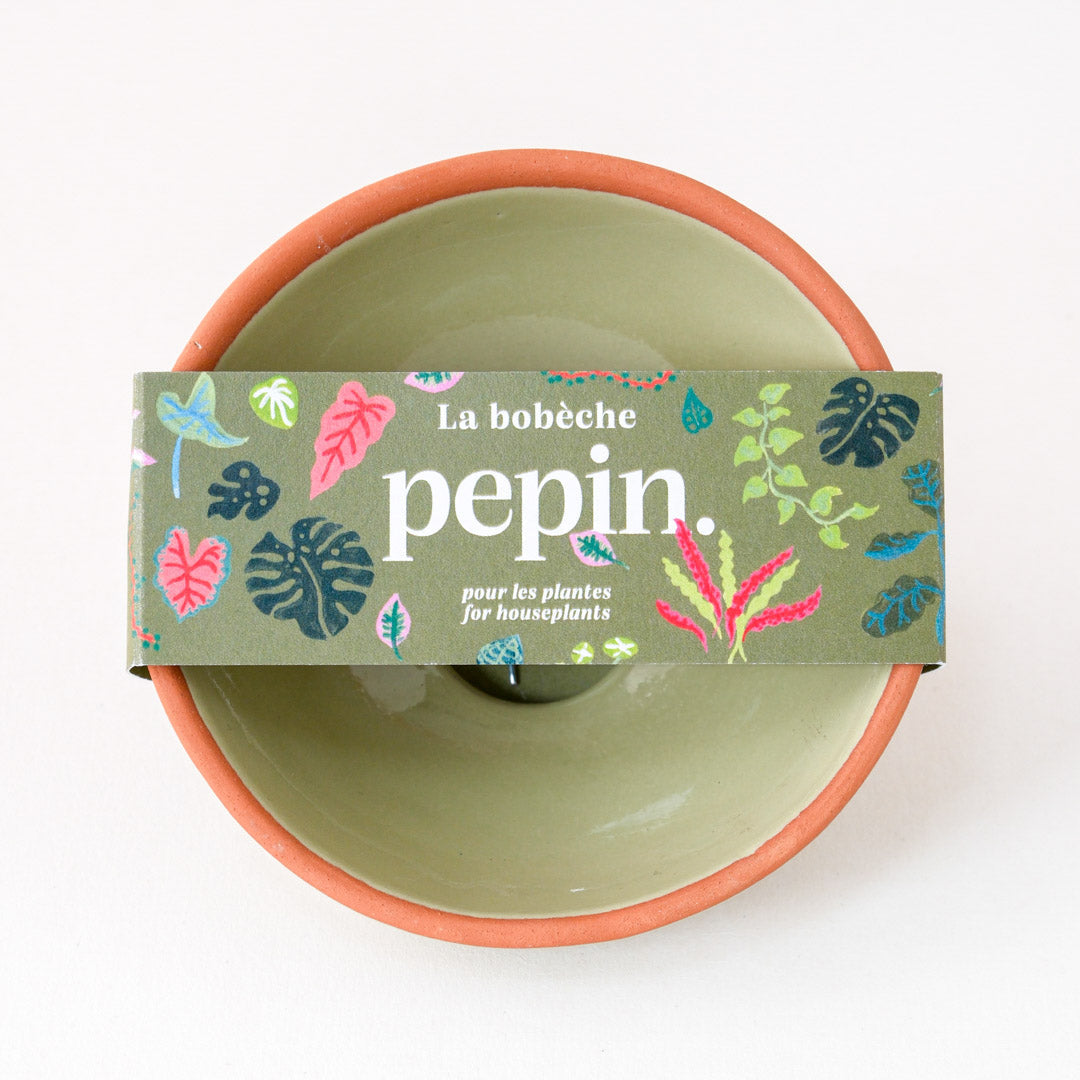 Bobèche-Pflanzen – Salbeigrün