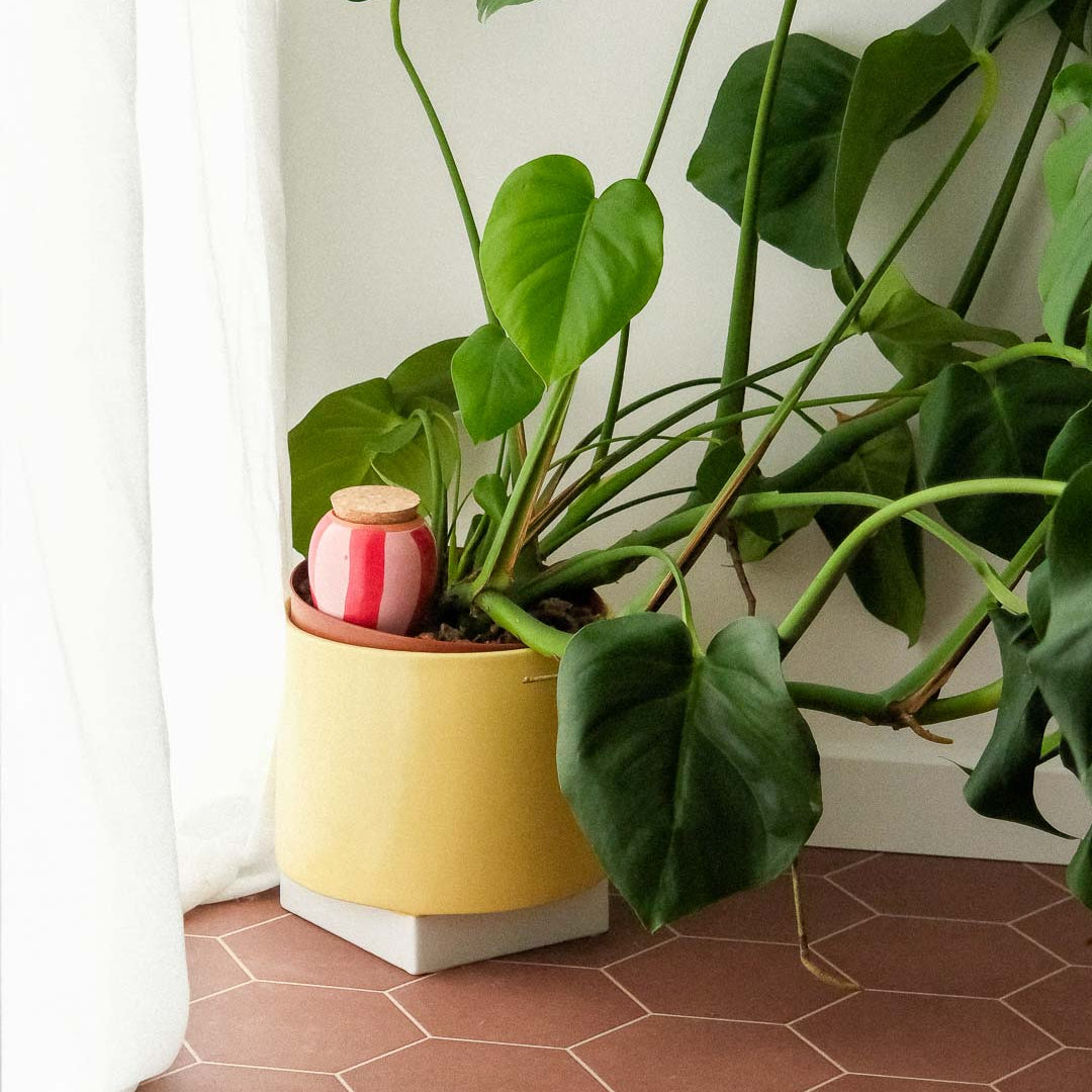 Olla - Stripes pink and red