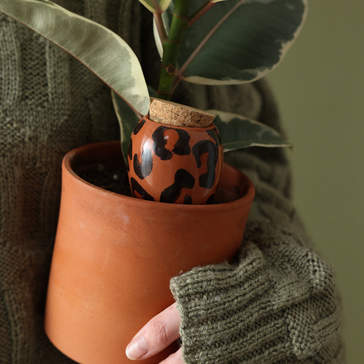 Olla - Léopard Macchiato