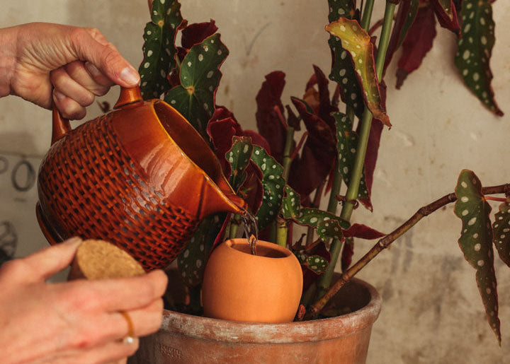 Comment fonctionne l'arrosage par oya ? Tout comprendre en 5 minutes