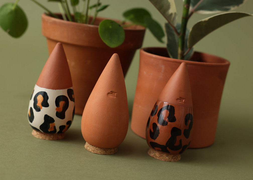 Oya pour plantes d'intérieur : le guide complet pour ne plus jamais rater l'arrosage