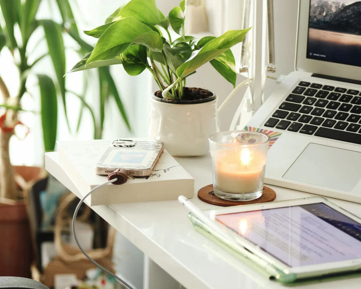 Télétravail : 5 plantes idéales pour votre bureau