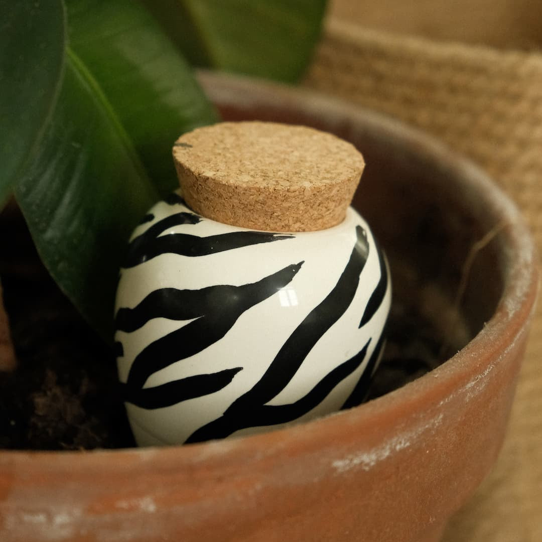 Olla - Zebra