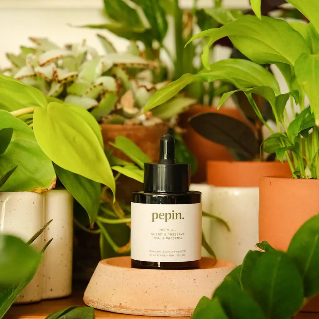 serum pepin huile de neem