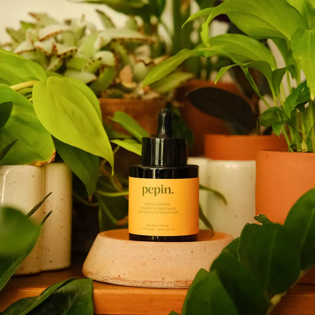 serum nourrissant pepin pour cactus