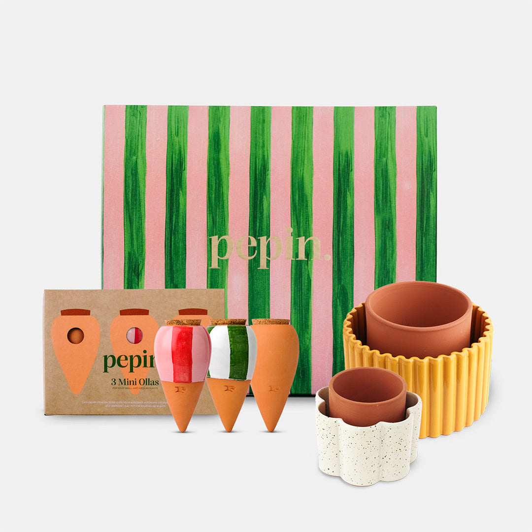 Coffret cadeau - Plantsitter XL