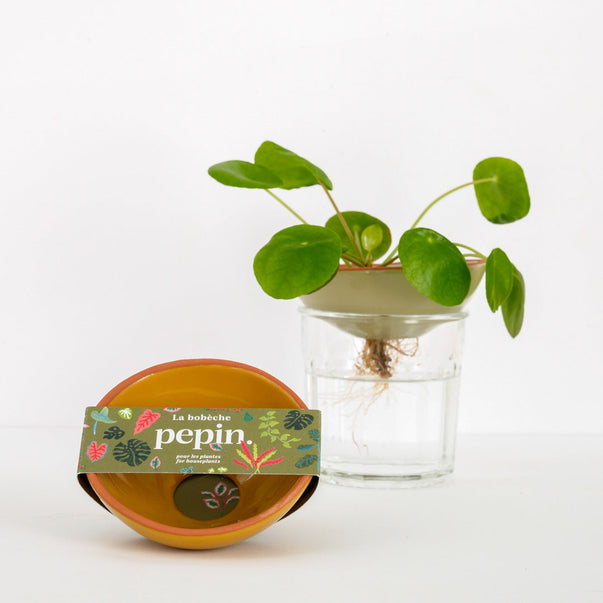 Pflanzen-Bobèche – Senfgelb