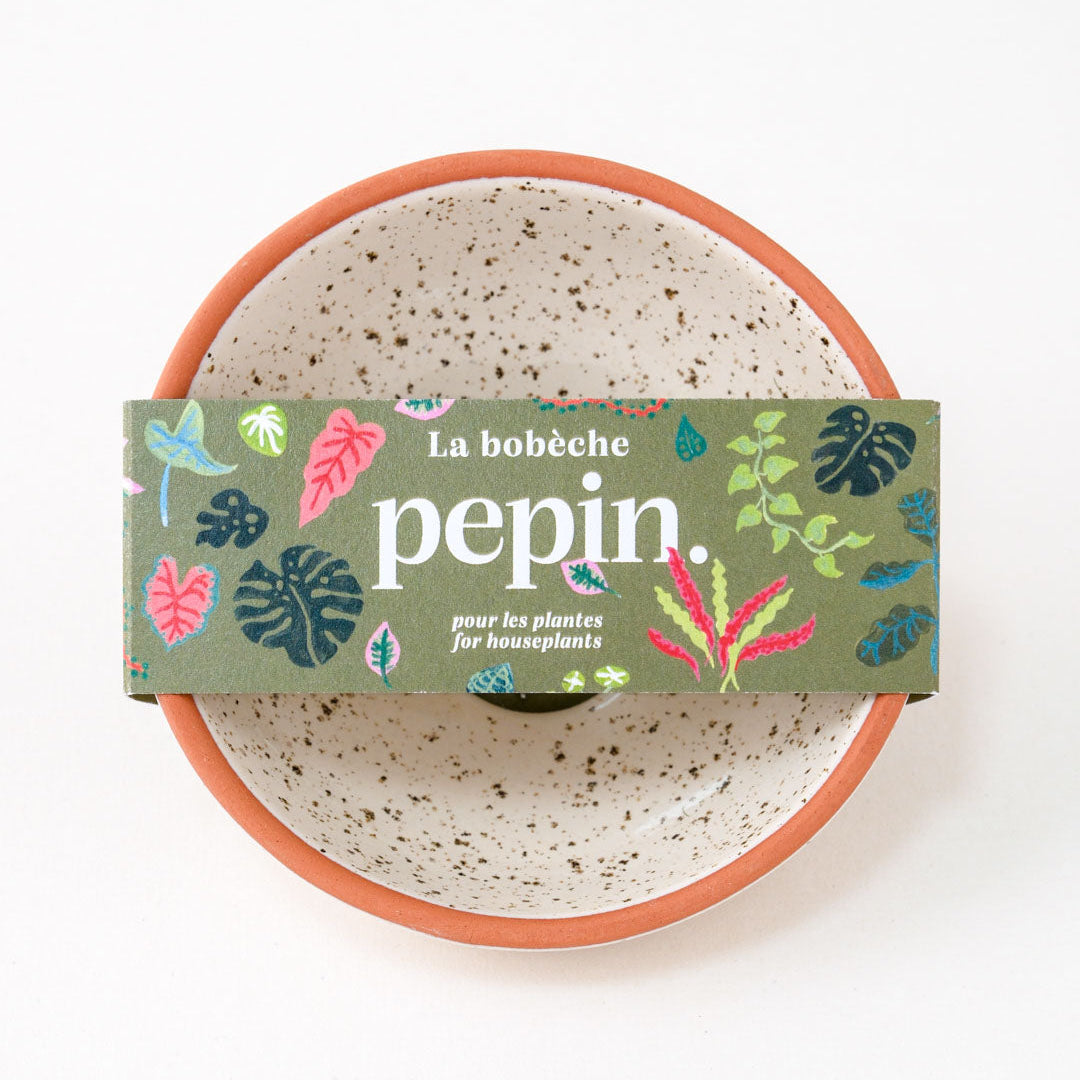 Bobèche-Pflanzen - Weißkörnig