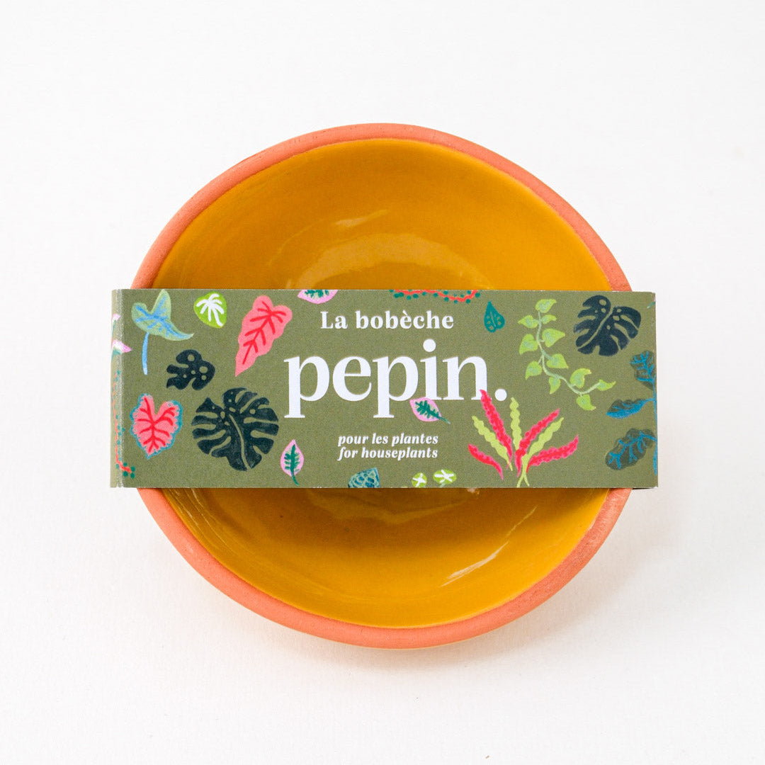 Bobèche-Pflanzen – Senfgelb