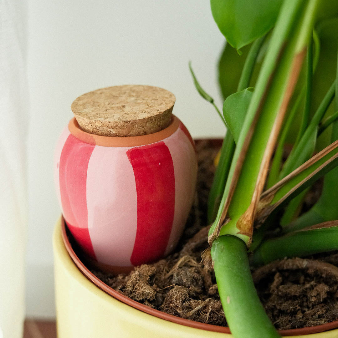 Olla - Stripes pink and red