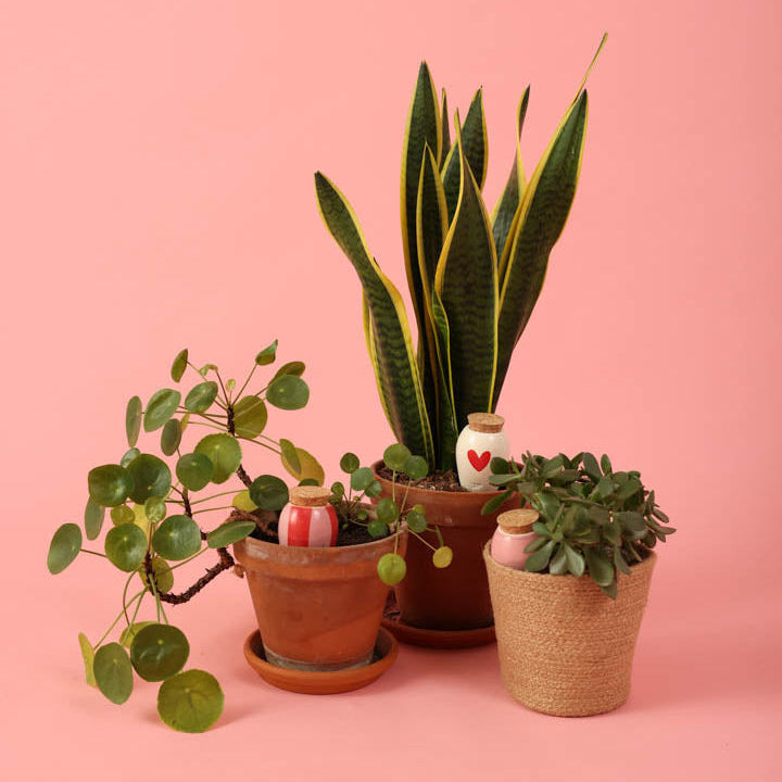 Trio Mini Ollas - Les Lovers