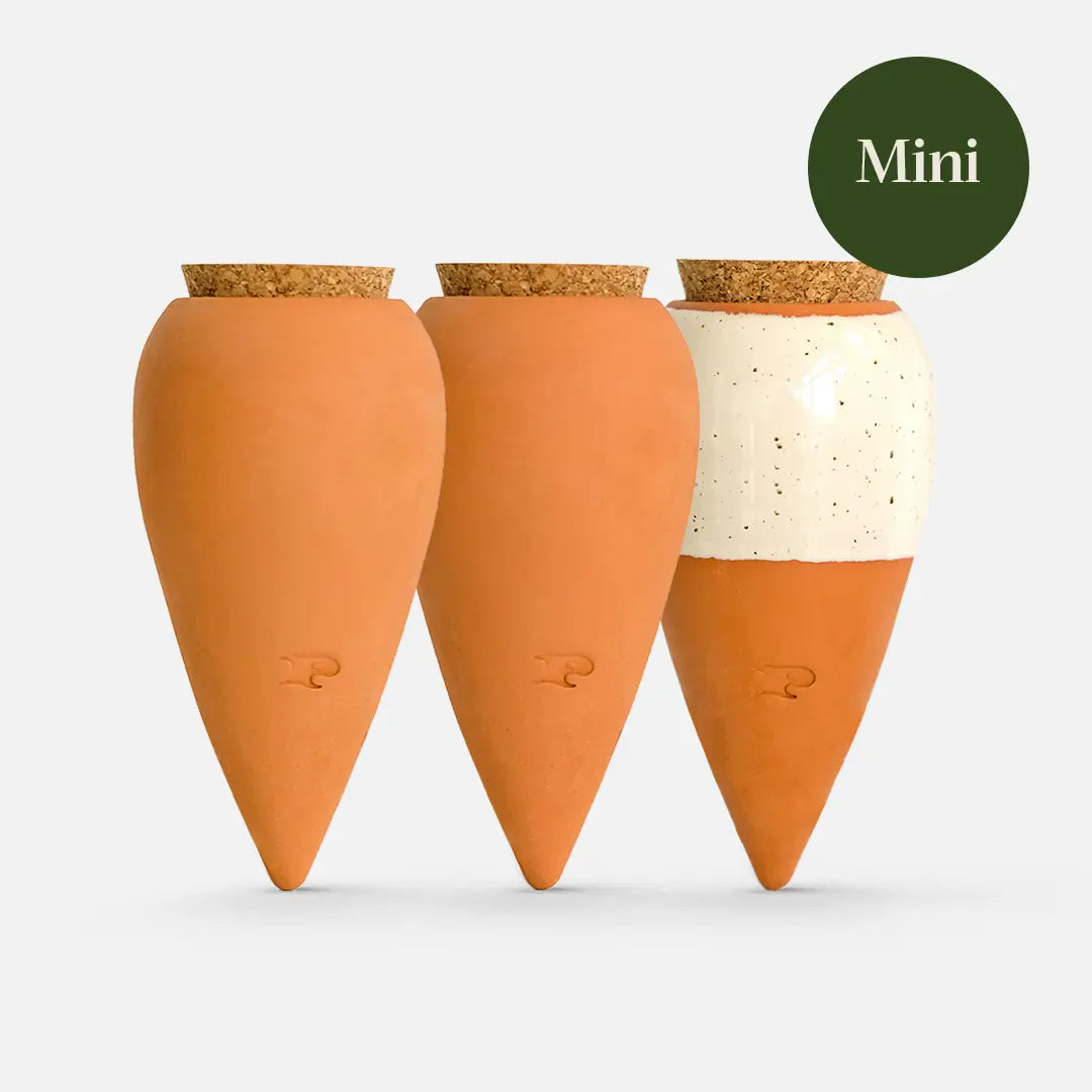 trio de minis ollas à planté, terracotta et blanc grainé