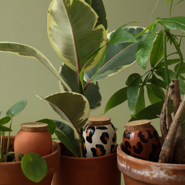 Trio Mini Ollas - Les Léopards